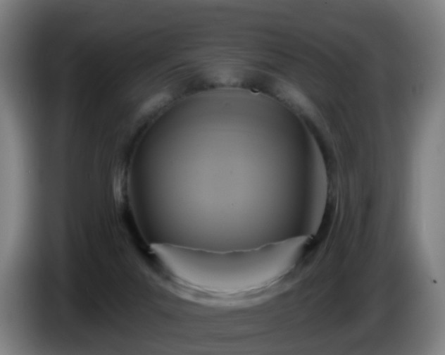 X0000086730023200704201655