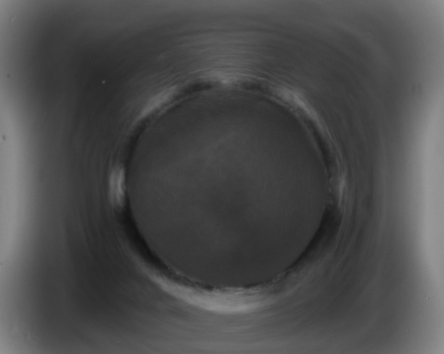 X0000086730024200704201655