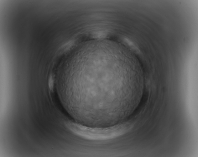 X0000086730026200704201655