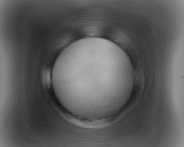 X0000086730028200704201655