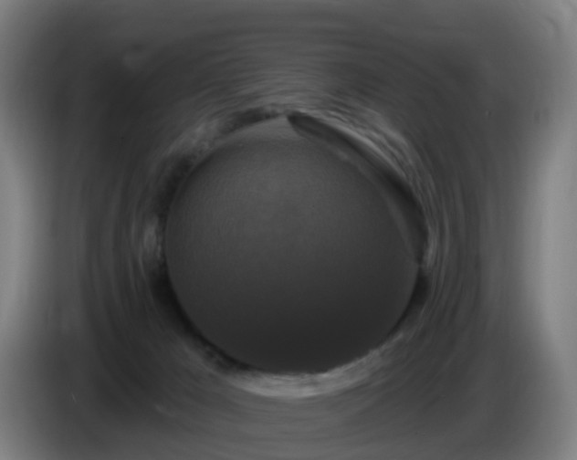 X0000086730029200704201655