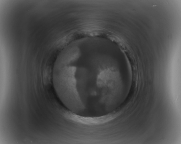 X0000086730030200704201655