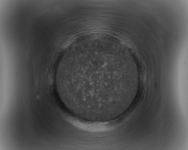 X0000086730032200704201655