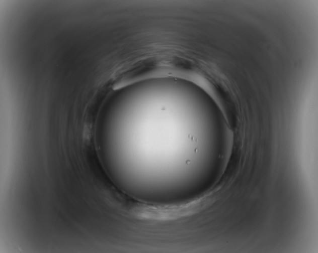 X0000086730033200704201655