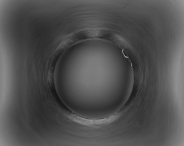 X0000086730035200704201655