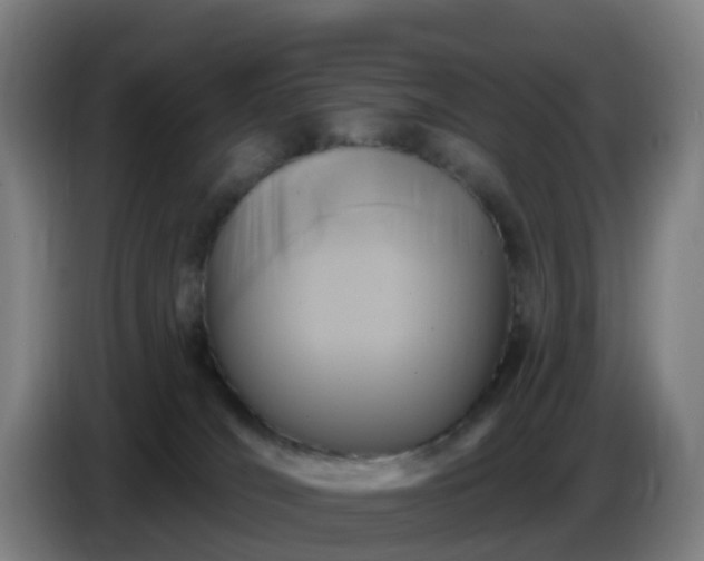 X0000086730036200704201655