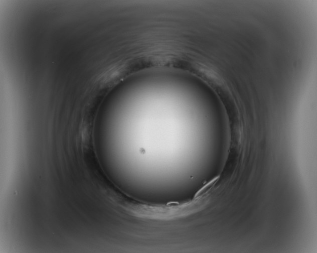 X0000086730037200704201655