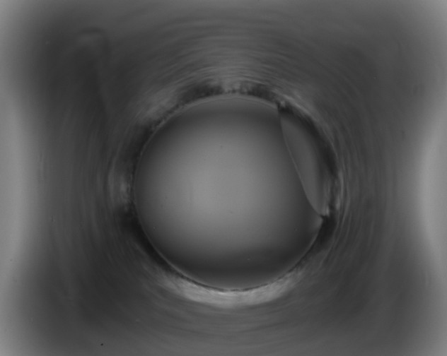 X0000086730039200704201655