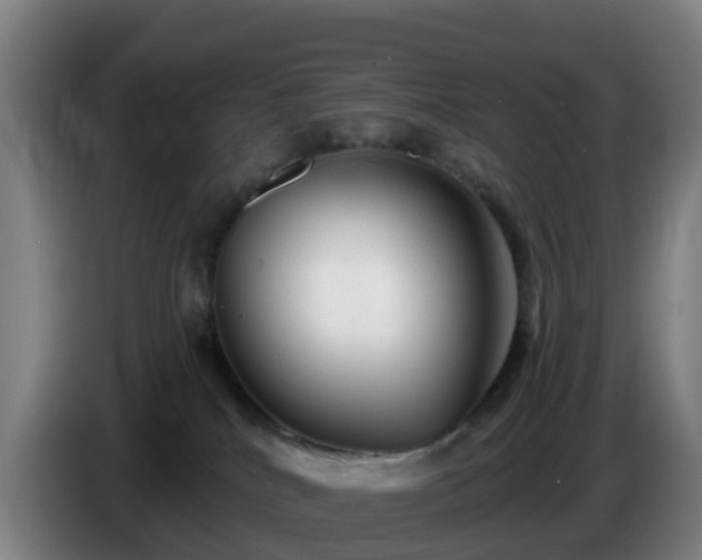 X0000086730040200704201655