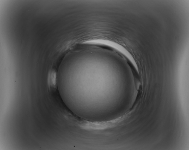 X0000086730041200704201655