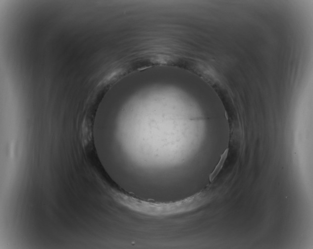 X0000086730043200704201655