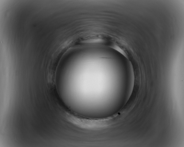 X0000086730044200704201655