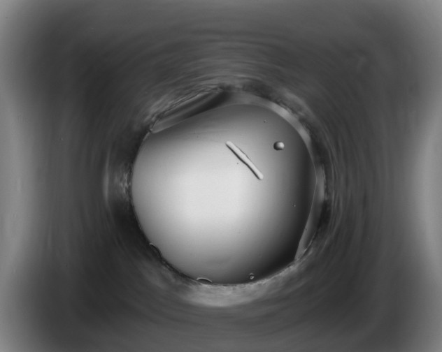 X0000086730045200704201655