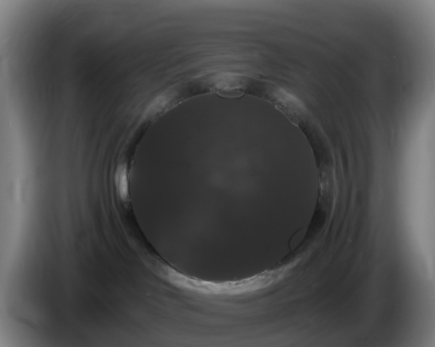 X0000086730046200704201655