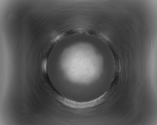 X0000086730047200704201654