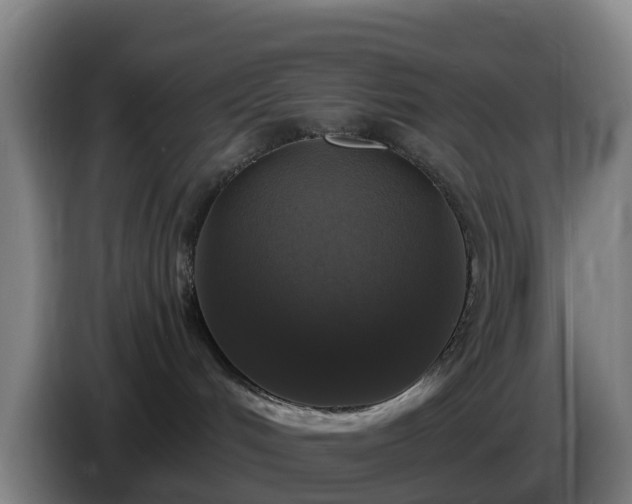 X0000086730048200704201654