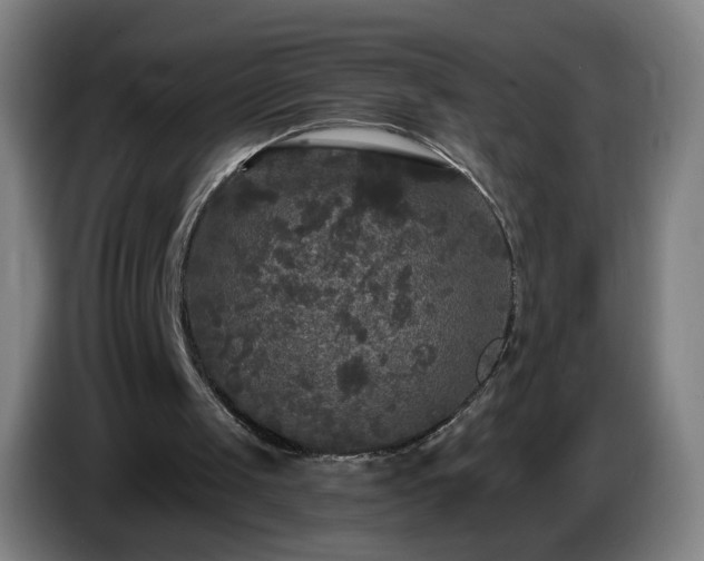 X0000086730049200704201654