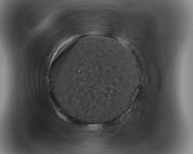 X0000086730050200704201654