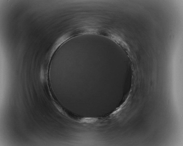 X0000086730051200704201654