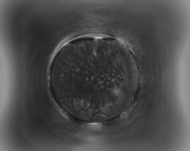 X0000086730053200704201654