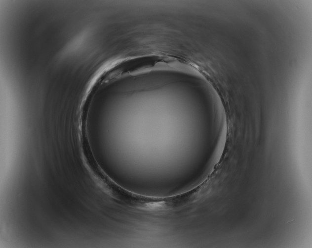 X0000086730054200704201654