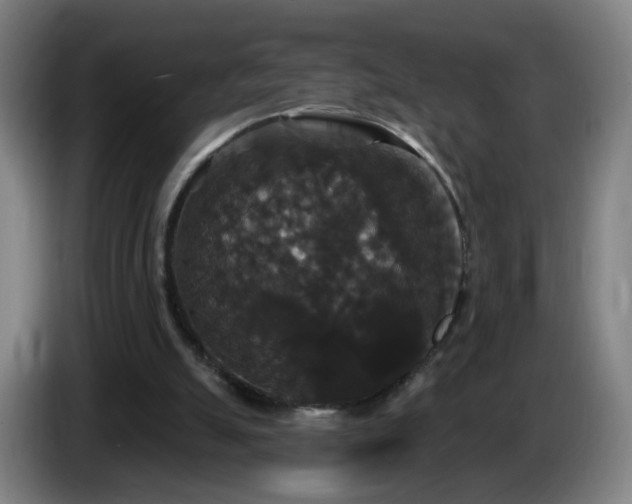 X0000086730055200704201654