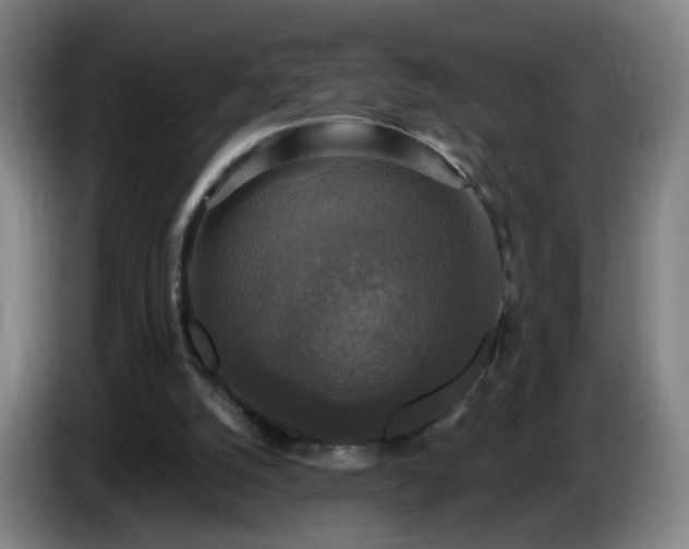 X0000086730056200704201654