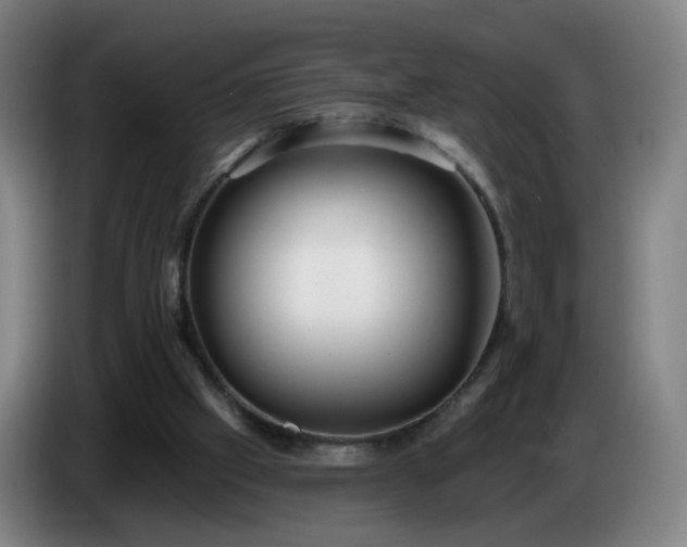 X0000086730057200704201654