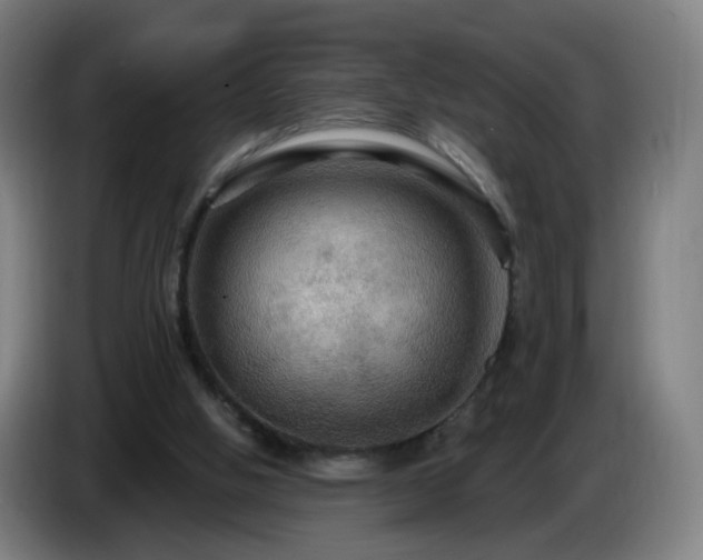 X0000086730058200704201654