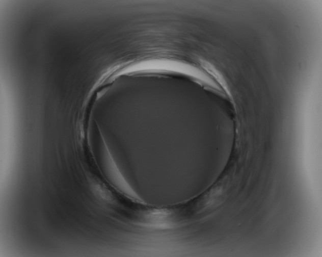 X0000086730059200704201654