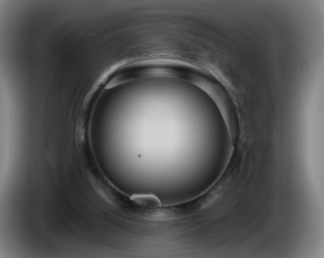 X0000086730060200704201654