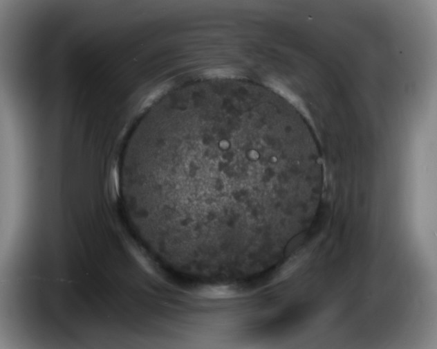 X0000086730061200704201654