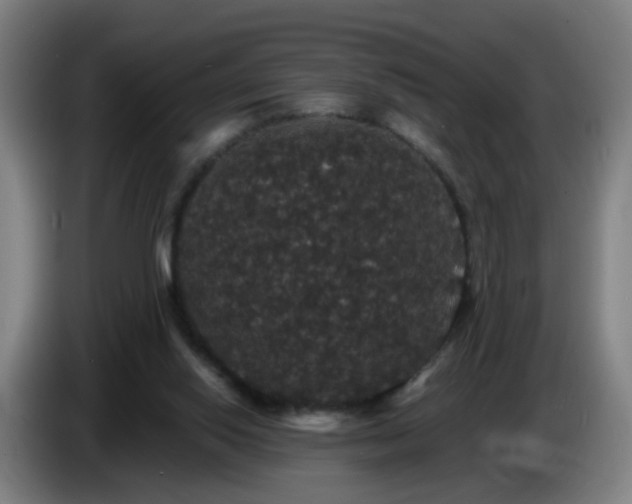 X0000086730062200704201654