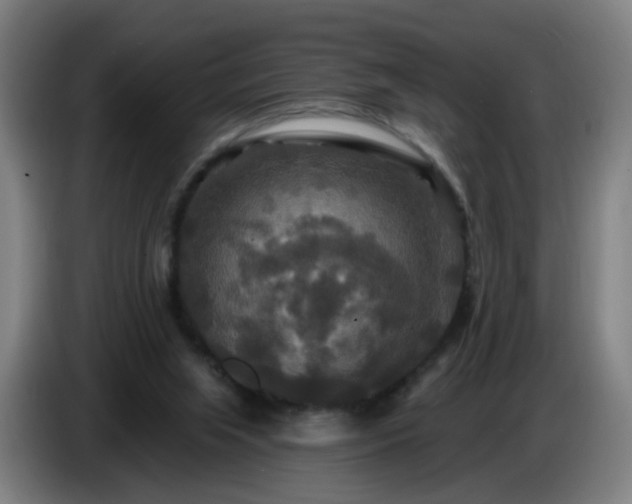 X0000086730063200704201654