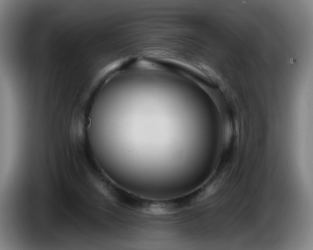 X0000086730064200704201654