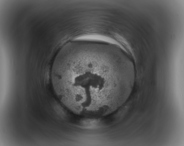 X0000086730065200704201654