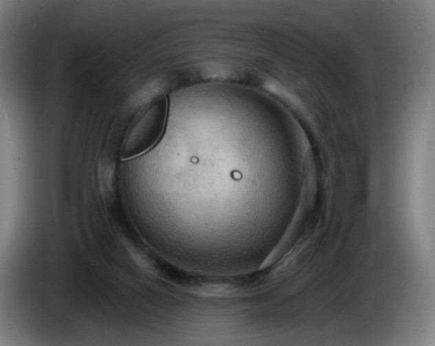 X0000086730066200704201654