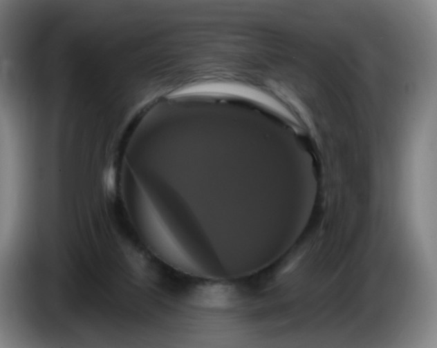 X0000086730067200704201654