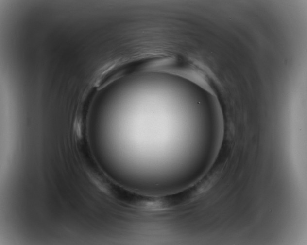 X0000086730068200704201654