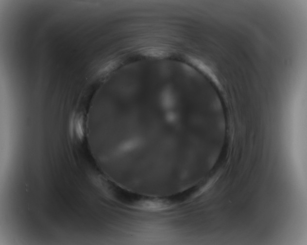 X0000086730069200704201654