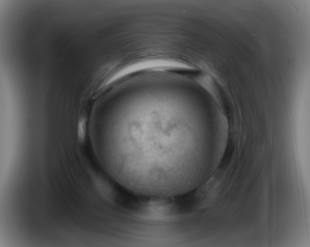 X0000086730070200704201654