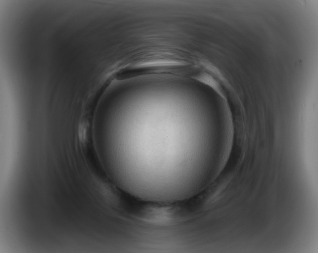 X0000086730071200704201654