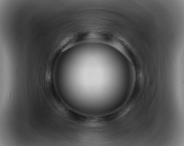 X0000086730072200704201654