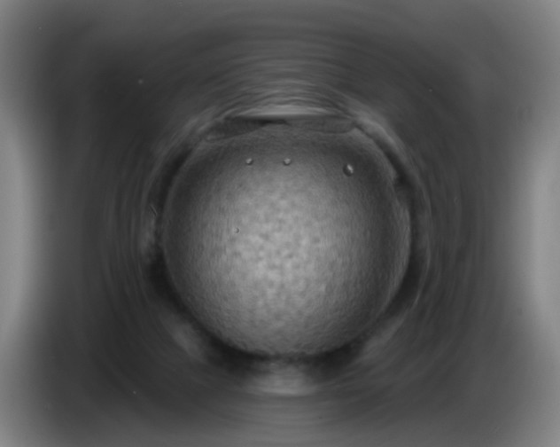 X0000086730073200704201654