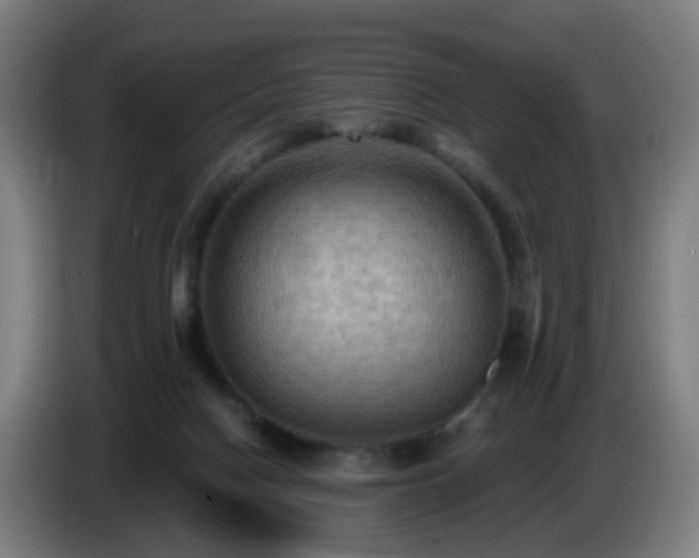 X0000086730074200704201654