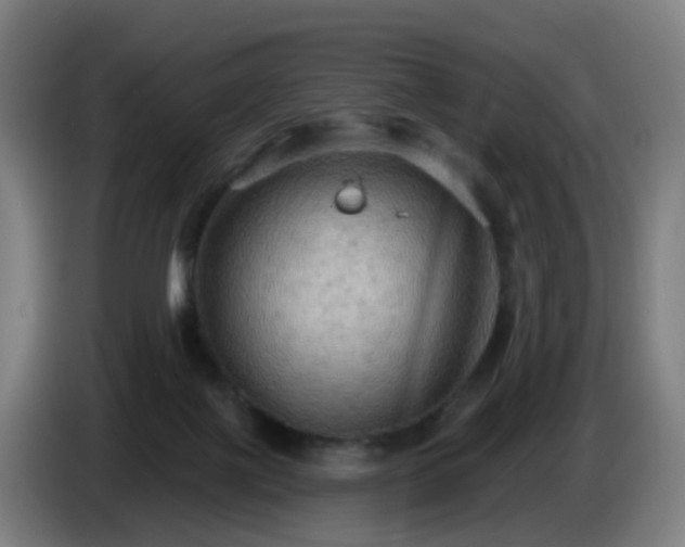 X0000086730075200704201654