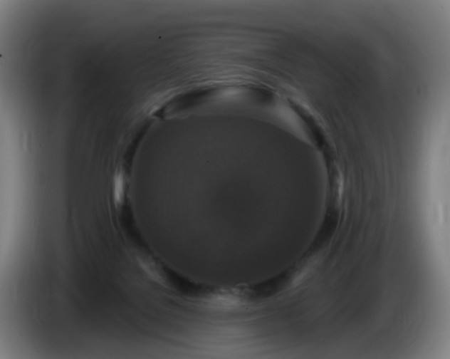 X0000086730076200704201654