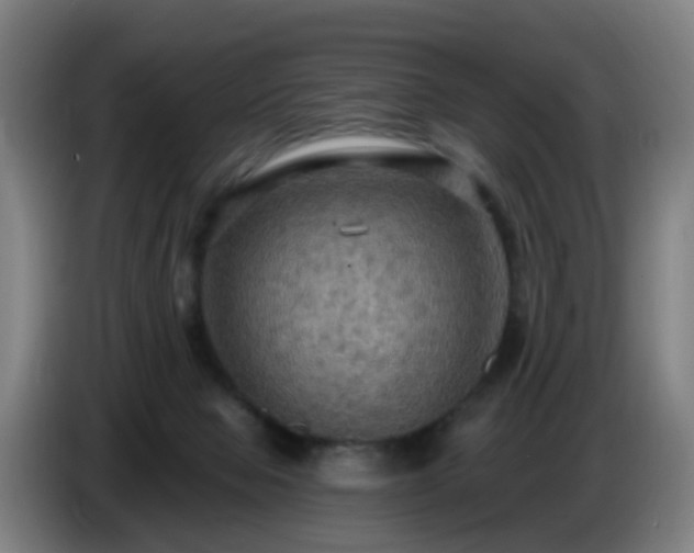 X0000086730077200704201654