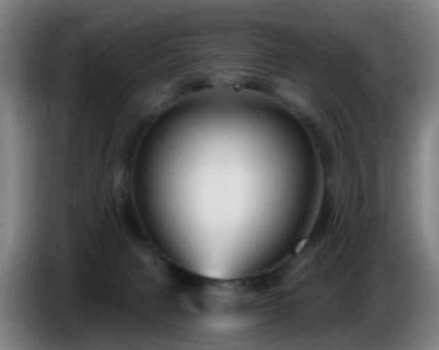 X0000086730079200704201654