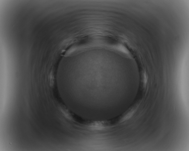 X0000086730080200704201654